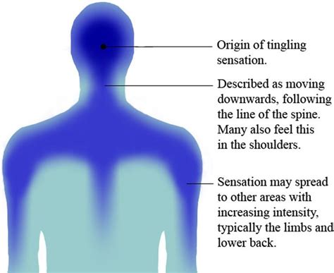 autonomous sensory meridian response |More than a feeling: Autonomous sensory meridian response。